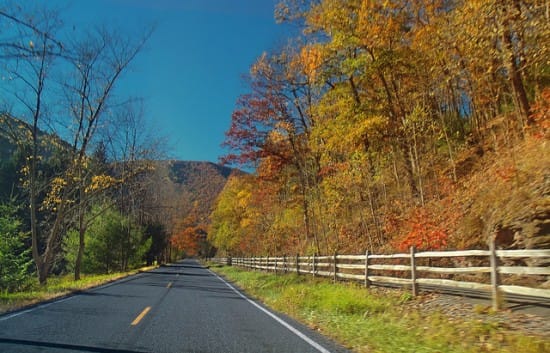 Tired of Cabin Noise? Here Is Your Guide to Getting a Quiet Car